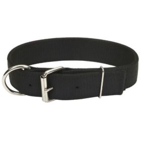 Coastal Pet Double-Ply Nylon Collar with Roller Buckle